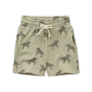 PANTALÓN CORTO TORTUGAS