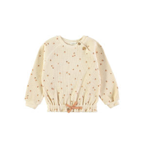 SUDADERA FRUITS CINNAMON