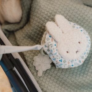 LIBRO BLANDO ACTIVIDADES ANILLA LEAVES