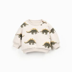 SUDADERA DINOSAURIOS